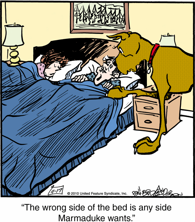 marmaduke